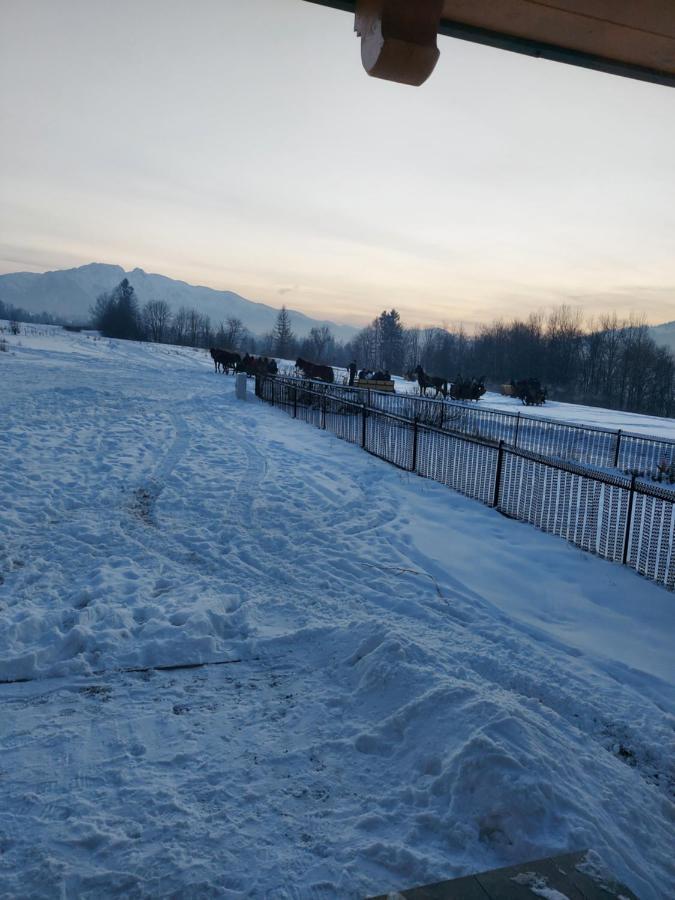 Tatrzanski Kacik Apartzakop Chalet *